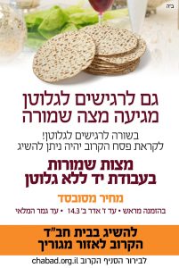 מצות שמורות ללא גלוטן